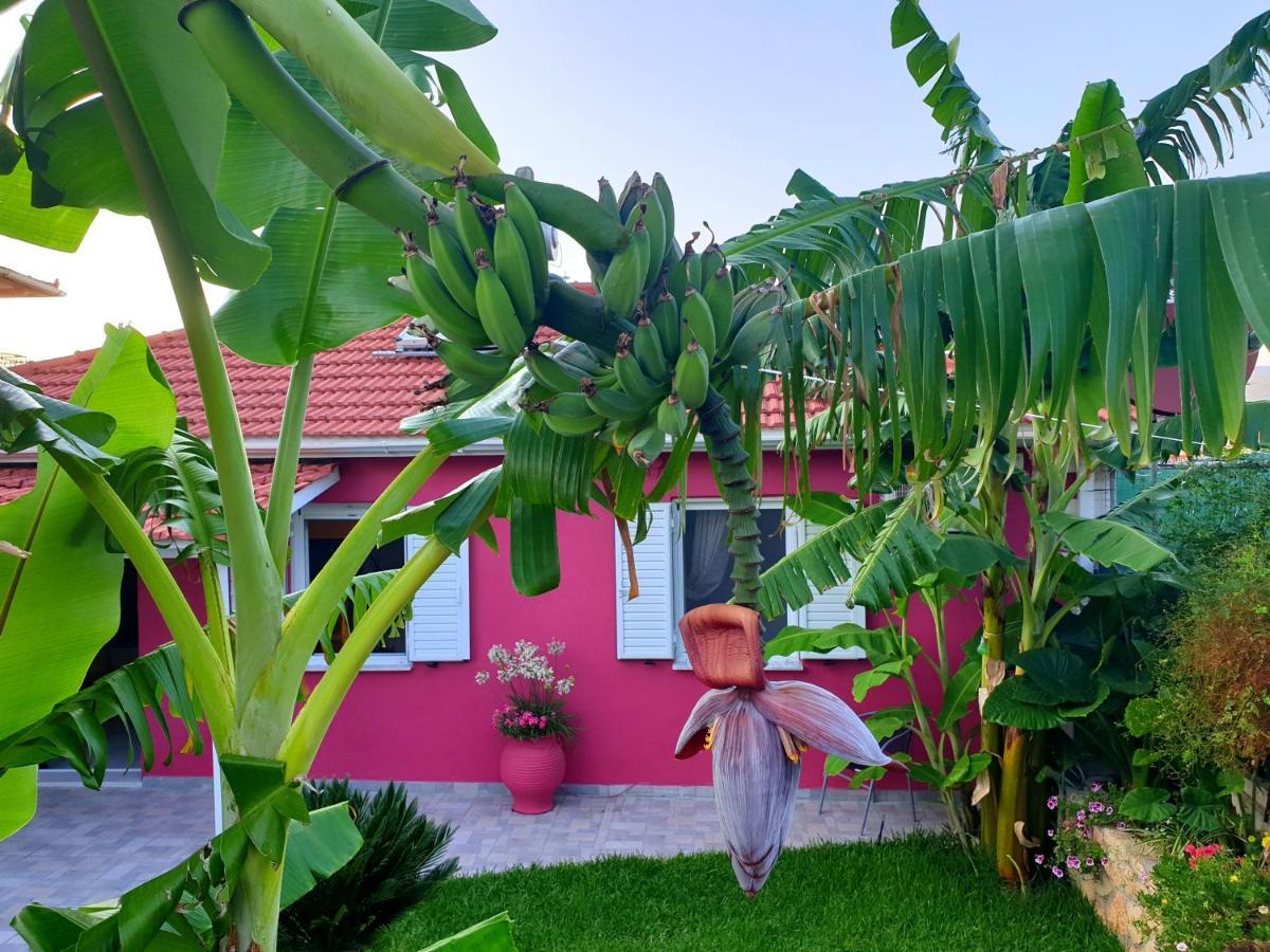 Villa Aloe House Lakíthra Extérieur photo
