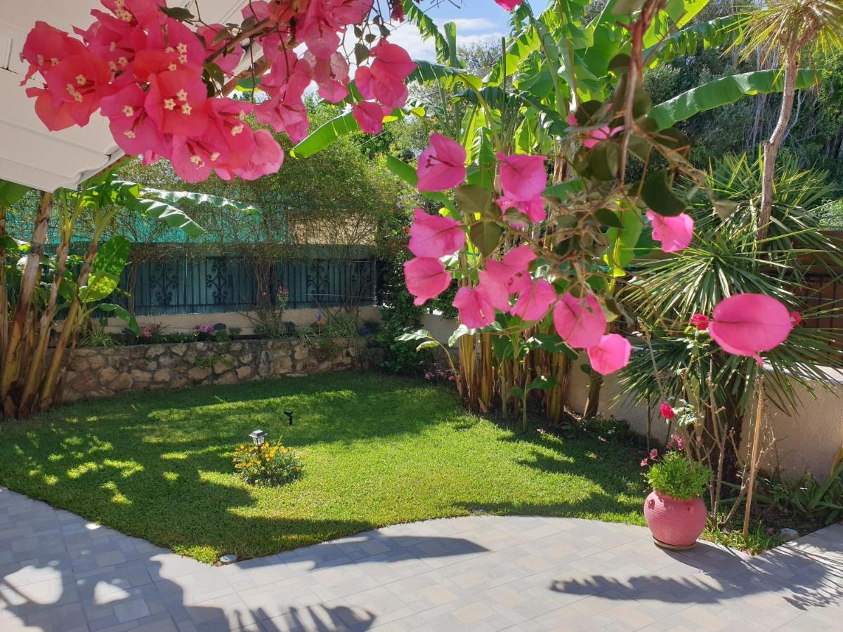 Villa Aloe House Lakíthra Extérieur photo